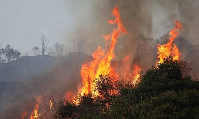 Ηλεία- Υπό έλεγχο  πυρκαγιά στο Λευκοχώρι